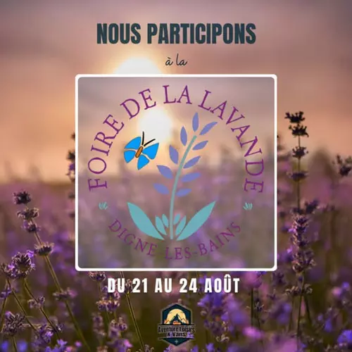 foire-de-la-lavande-2025